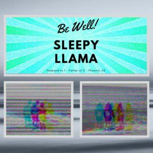 Meet your Posher, Ryan (AKA: sleepy llama)
